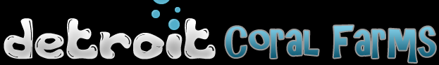 Live Coral Wholesale